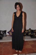 at Lavina Hansraj furnishing launch in Mumbai on 18th Dec 2011 (3).JPG